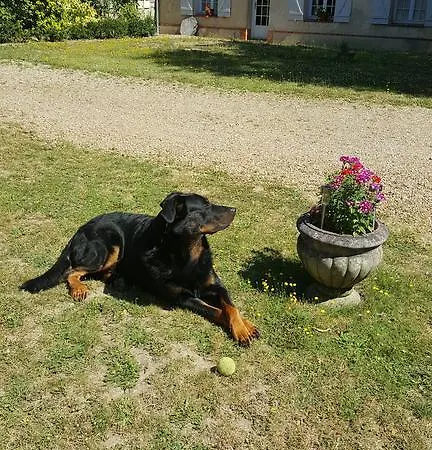 La Tendrière Bed & Breakfast Ruille-Sur-Loir